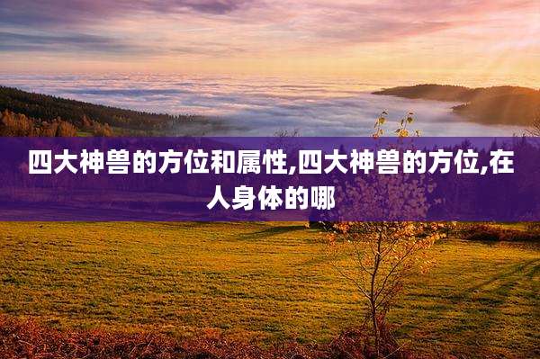 四大神兽的方位和属性,四大神兽的方位,在人身体的哪