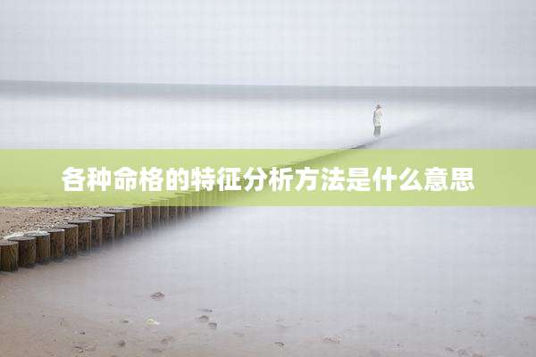 各种命格的特征分析方法是什么意思
