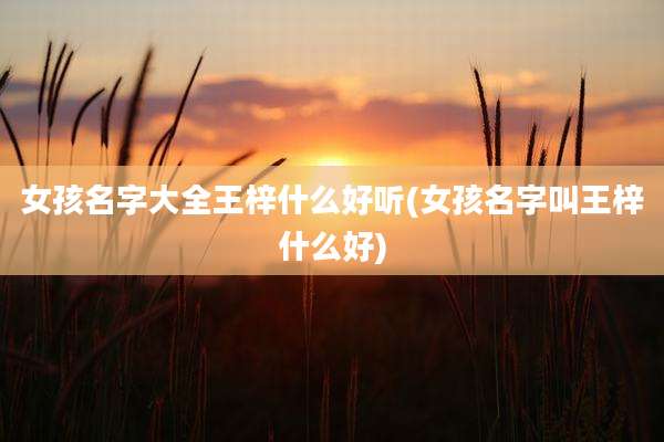 女孩名字大全王梓什么好听(女孩名字叫王梓什么好)