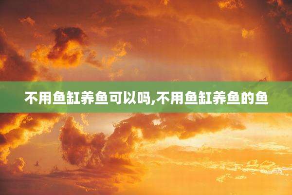 不用鱼缸养鱼可以吗,不用鱼缸养鱼的鱼