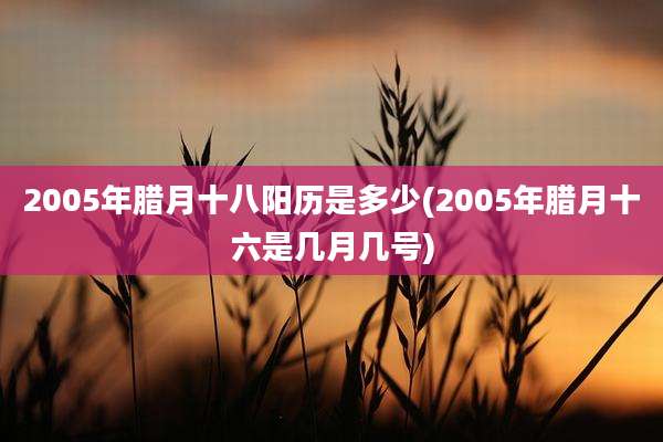 2005年腊月十八阳历是多少(2005年腊月十六是几月几号)