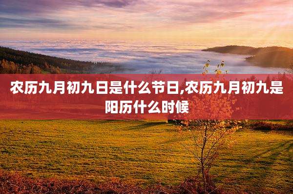 农历九月初九日是什么节日,农历九月初九是阳历什么时候