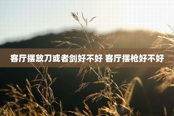 客厅摆放刀或者剑好不好 客厅摆枪好不好