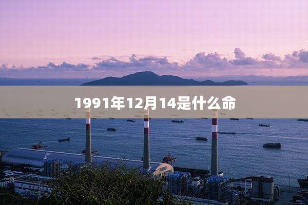 1991年12月14是什么命