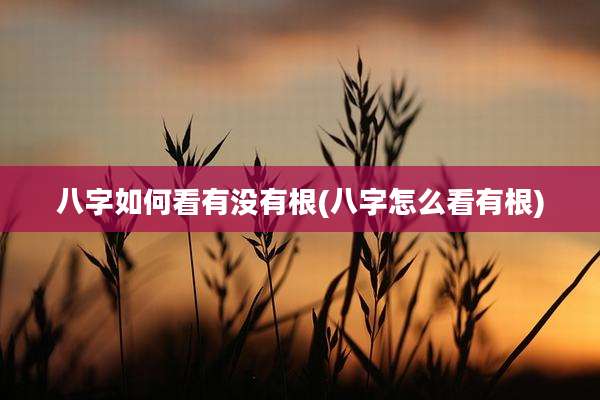 八字如何看有没有根(八字怎么看有根)