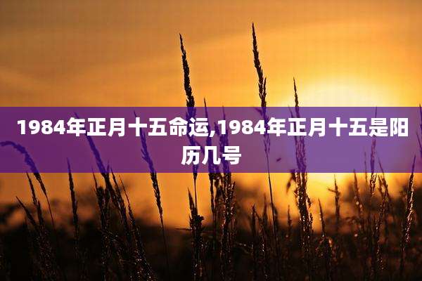 1984年正月十五命运,1984年正月十五是阳历几号