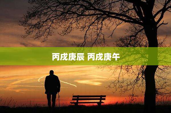 丙戌庚辰 丙戌庚午