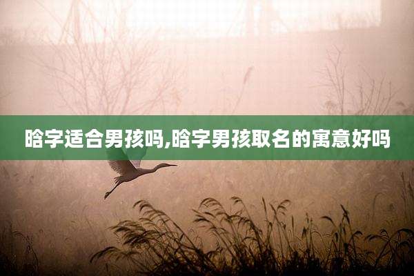 晗字适合男孩吗,晗字男孩取名的寓意好吗
