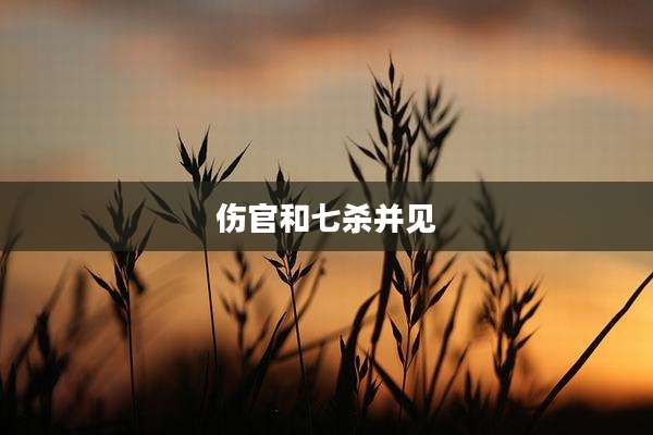 伤官和七杀并见