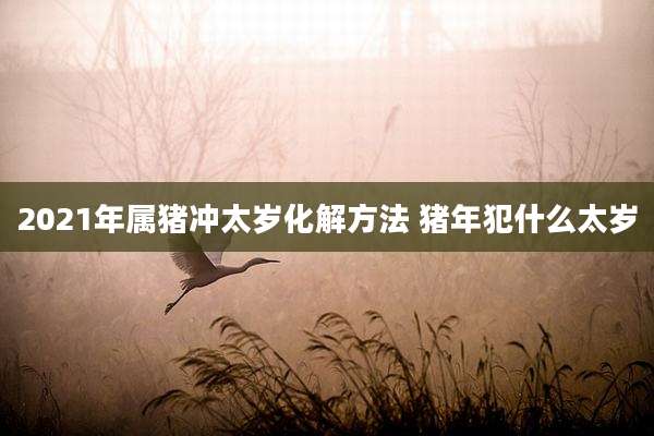 2021年属猪冲太岁化解方法 猪年犯什么太岁