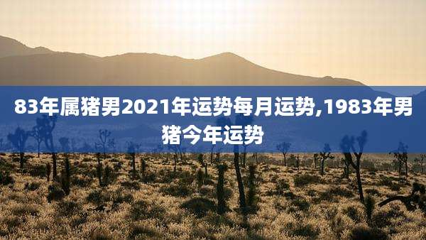 83年属猪男2021年运势每月运势,1983年男猪今年运势