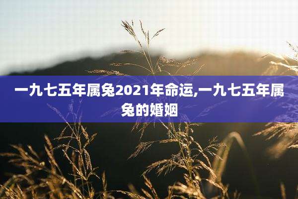 一九七五年属兔2021年命运,一九七五年属兔的婚姻