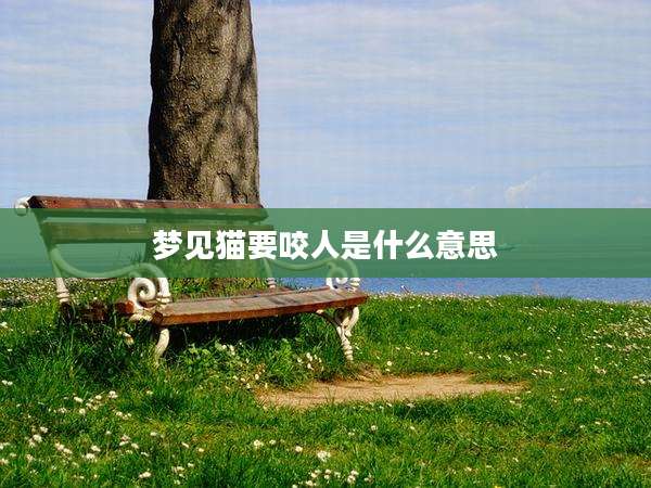 梦见猫要咬人是什么意思