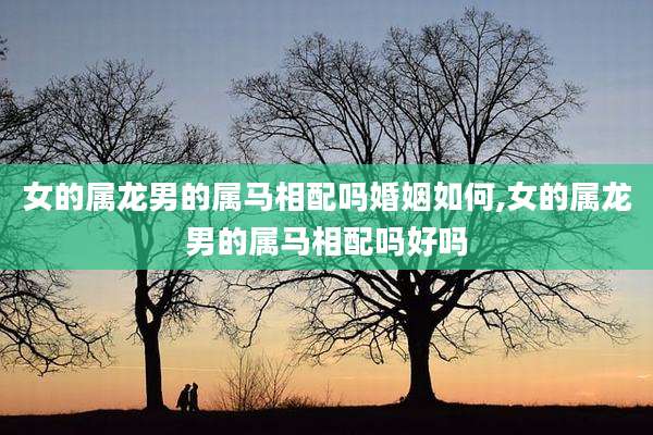 女的属龙男的属马相配吗婚姻如何,女的属龙男的属马相配吗好吗