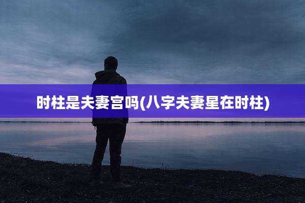 时柱是夫妻宫吗(八字夫妻星在时柱)