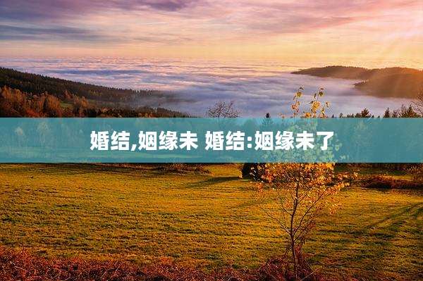 婚结,姻缘未 婚结:姻缘未了