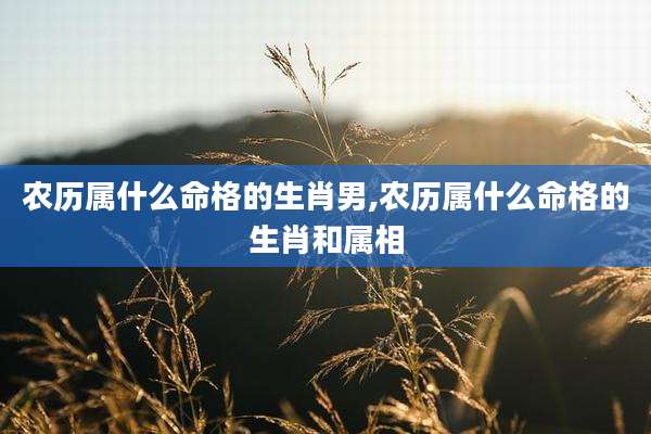 农历属什么命格的生肖男,农历属什么命格的生肖和属相