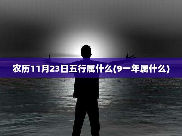 农历11月23日五行属什么(9一年属什么)