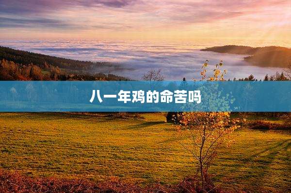八一年鸡的命苦吗