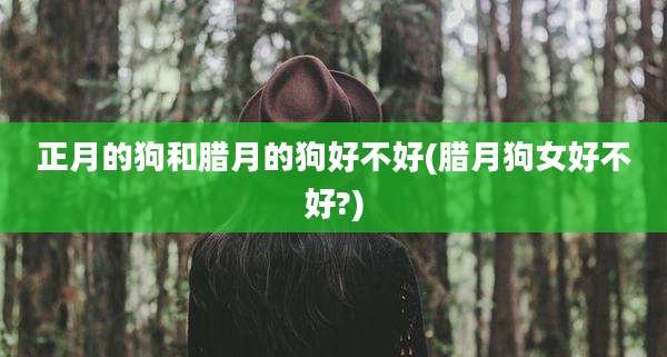 正月的狗和腊月的狗好不好(腊月狗女好不好?)