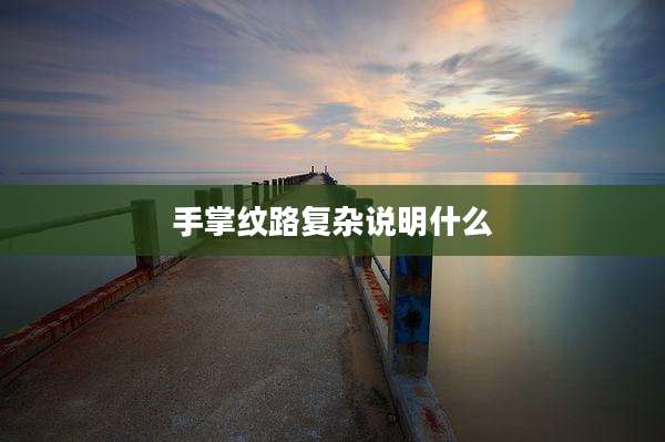 手掌纹路复杂说明什么
