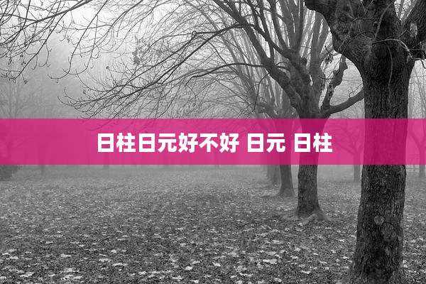 日柱日元好不好 日元 日柱