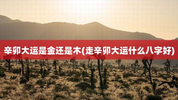 辛卯大运是金还是木(走辛卯大运什么八字好)