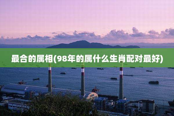 最合的属相(98年的属什么生肖配对最好)