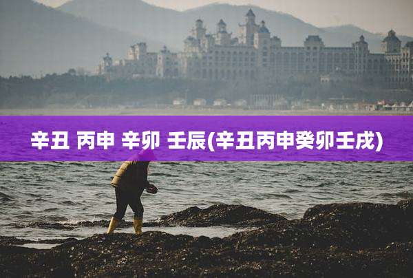 辛丑 丙申 辛卯 壬辰(辛丑丙申癸卯壬戌)