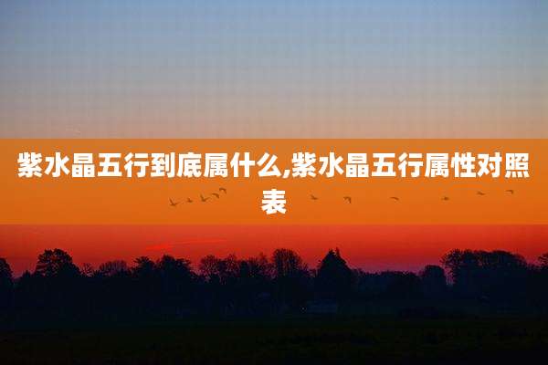紫水晶五行到底属什么,紫水晶五行属性对照表