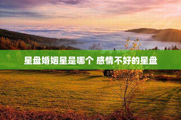 星盘婚姻星是哪个 感情不好的星盘