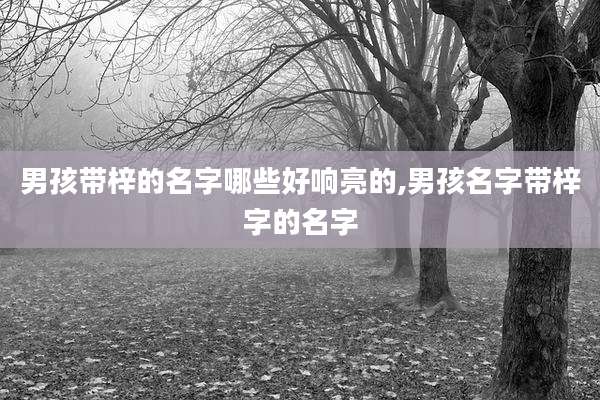 男孩带梓的名字哪些好响亮的,男孩名字带梓字的名字