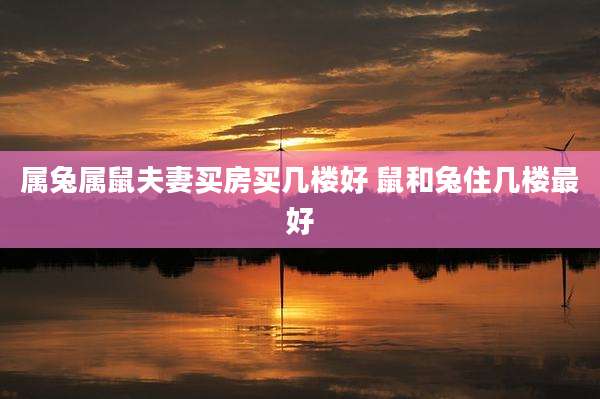 属兔属鼠夫妻买房买几楼好 鼠和兔住几楼最好
