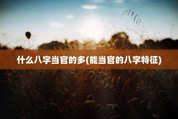 什么八字当官的多(能当官的八字特征)