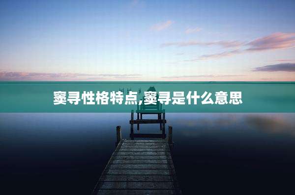 窦寻性格特点,窦寻是什么意思