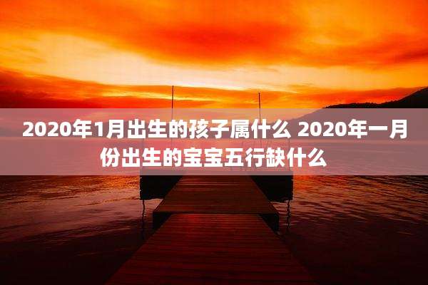 2020年1月出生的孩子属什么 2020年一月份出生的宝宝五行缺什么
