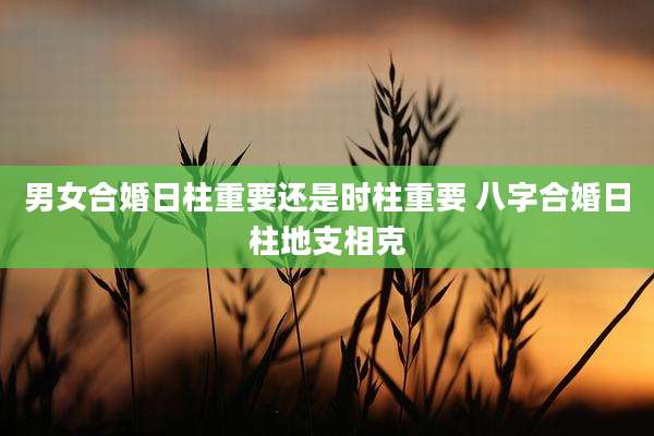 男女合婚日柱重要还是时柱重要 八字合婚日柱地支相克