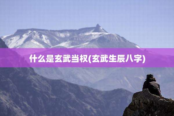 什么是玄武当权(玄武生辰八字)
