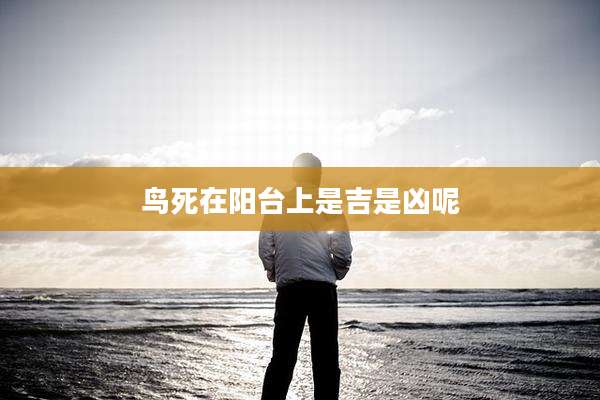 鸟死在阳台上是吉是凶呢