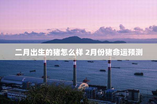 二月出生的猪怎么样 2月份猪命运预测