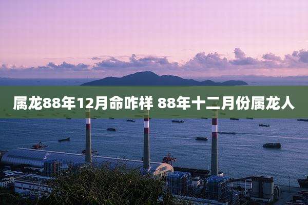 属龙88年12月命咋样 88年十二月份属龙人