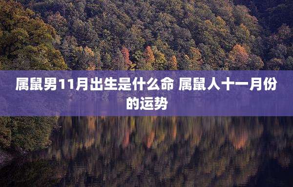 属鼠男11月出生是什么命 属鼠人十一月份的运势