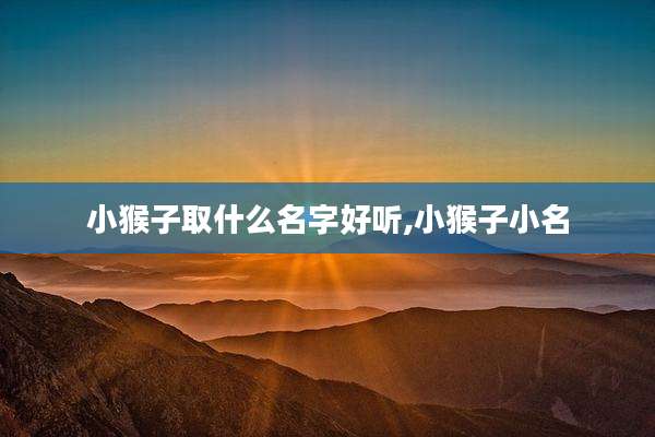 小猴子取什么名字好听,小猴子小名