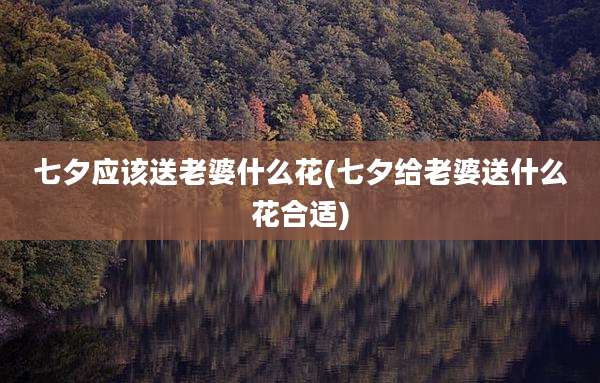 七夕应该送老婆什么花(七夕给老婆送什么花合适)