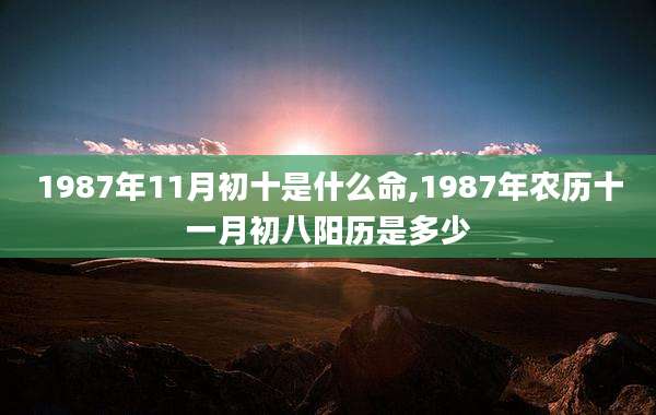 1987年11月初十是什么命,1987年农历十一月初八阳历是多少