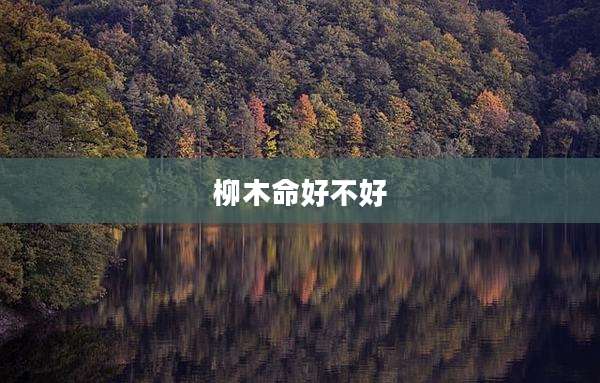 柳木命好不好