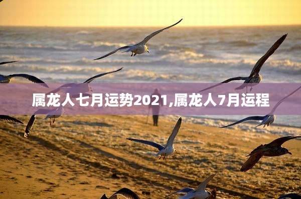 属龙人七月运势2021,属龙人7月运程