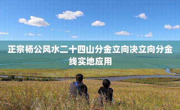 正宗杨公风水二十四山分金立向决立向分金线实地应用