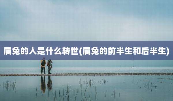 属兔的人是什么转世(属兔的前半生和后半生)