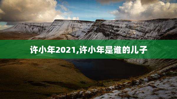 许小年2021,许小年是谁的儿子